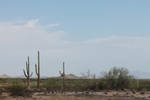 Airzona Desert IMG 1064 by JPattonPhotography