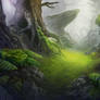 Misty Forest