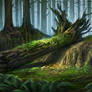 Forest - concept I