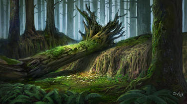 Forest - concept I