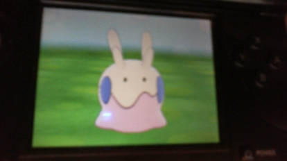 OMGOMGOMG SHINY GOOMY!