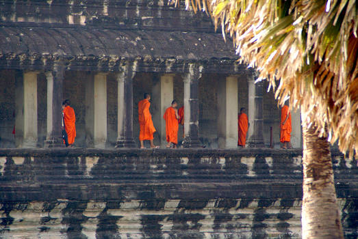 monks in angkor wat (cambidia 2012)