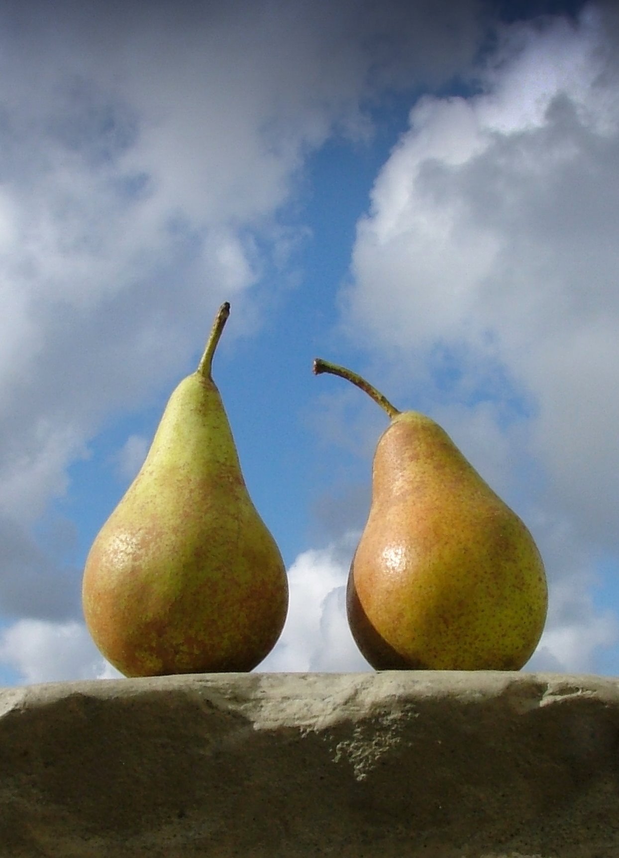 pears