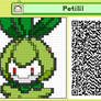 Petilil Pullbox/Pushmo Course