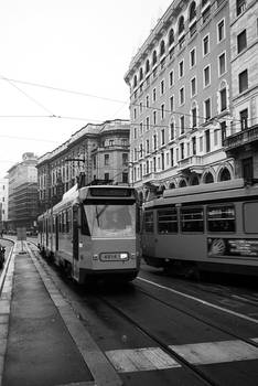 tram tram