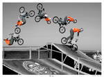 FISE 2008 -1- BMX Backflip by RemiGarciaPhoto