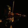 The Violin Player