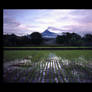 Merapi -landscape-