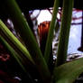 Still Untitled