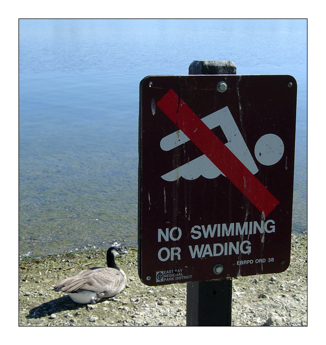 No Swimming or Wading