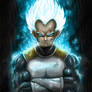 Vegeta Super Saiyan God