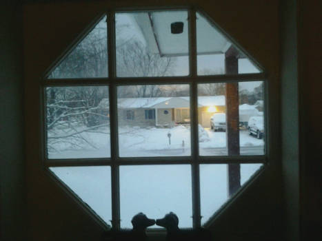 Snowy Window