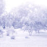 Snowy dreams meadow stock