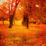 Sweet Autumn Stock II