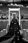 Elizabeth Bridge, Budapest by TonyPringle