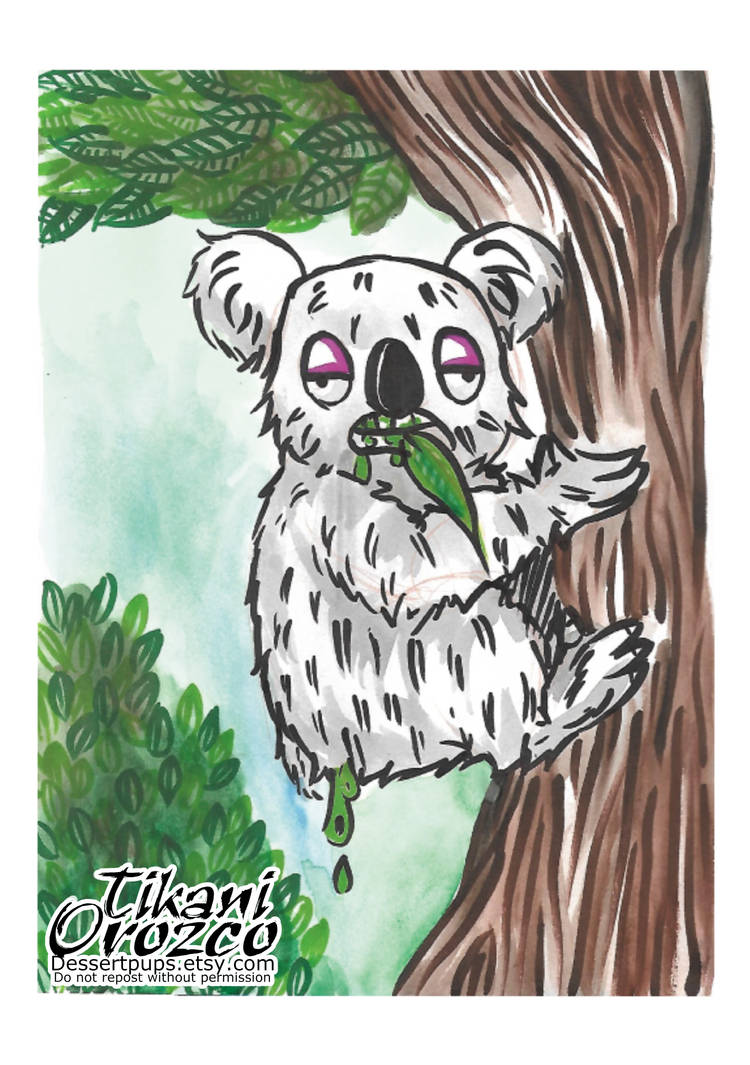The Dumb Koala by MangoBara on DeviantArt