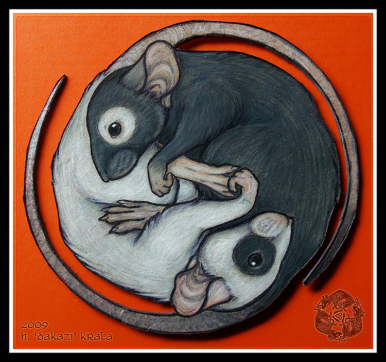 Rat Taijitu