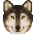 Free Avatar:  Wolf