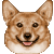 Free Avatar: Corgi