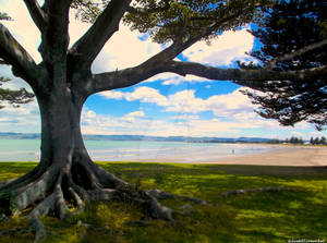 Photography - New Zealand Beaches #2