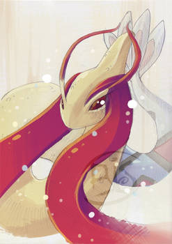 beautifull milotic