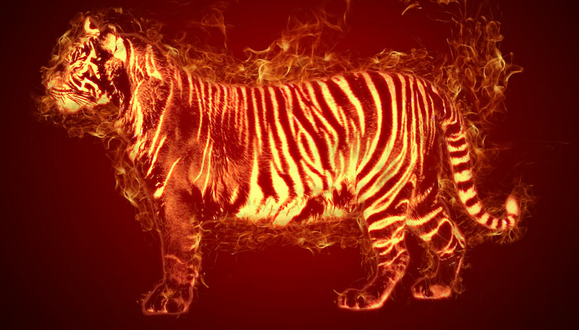 Fire Tiger