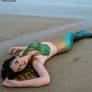 Mermaid Washed Ashore