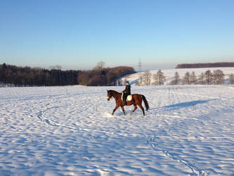 Riding in a winter-wonder-land