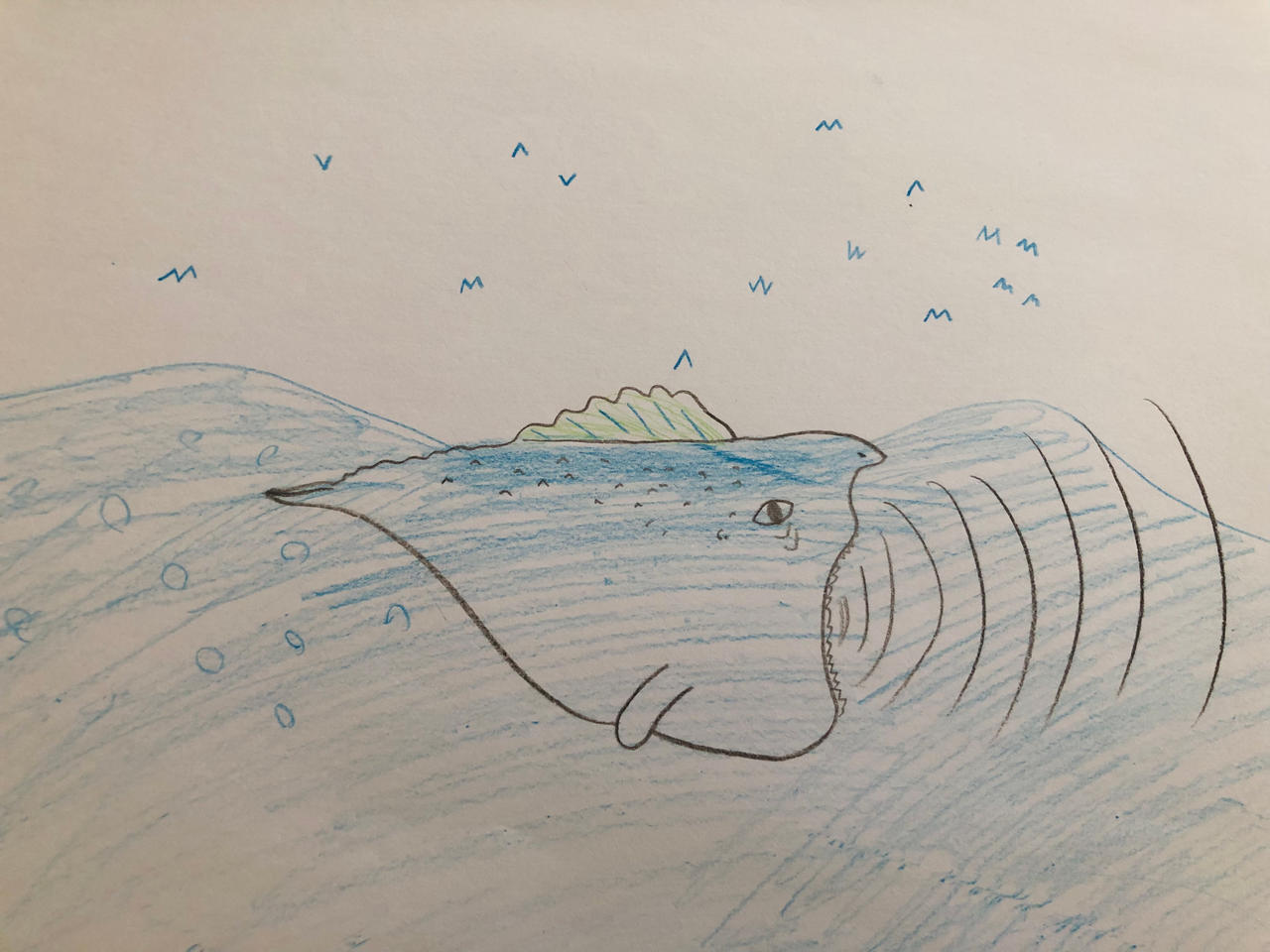 Bloop Deviantart The Bloop (2016) by MrPencil357 on DeviantArt