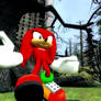 Knuckles in a Forest