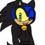 Sonic cat noir