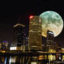 Tampa Moon