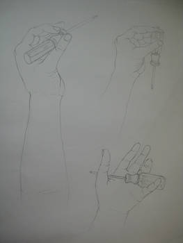 Hands Study