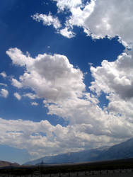 Manzanar View