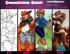 Commission Guide 2016
