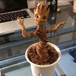 Groot