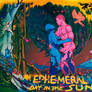 An Ephemeral Day in the Sun