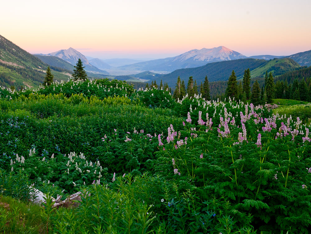 Washington Gulch