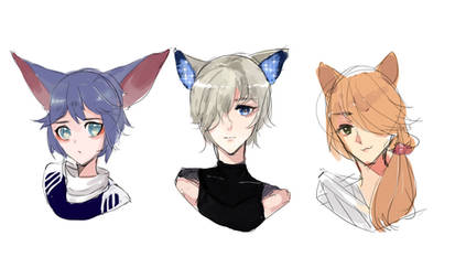 sketch headshot adopts (closed)