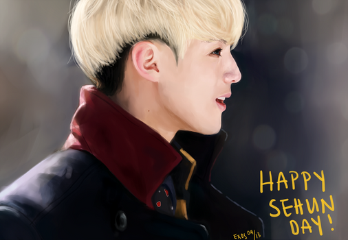 happy sehun day!