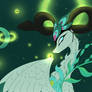 Aran Dragon