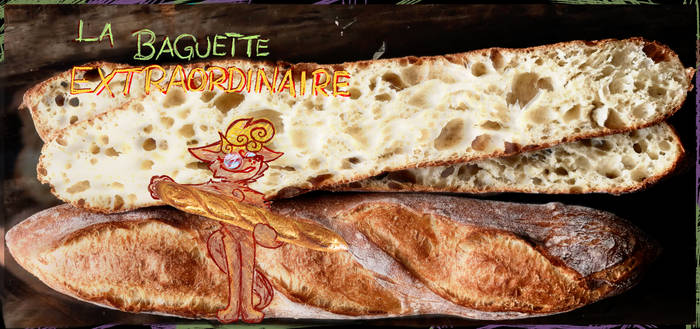 baguettesona_extraordinaire.jpg