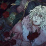 Sleep Well Prince