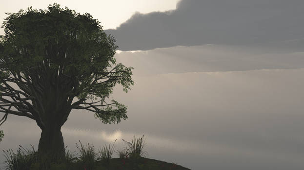 Tree in front the sea wallpaper