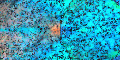 Fission Cat Forsley