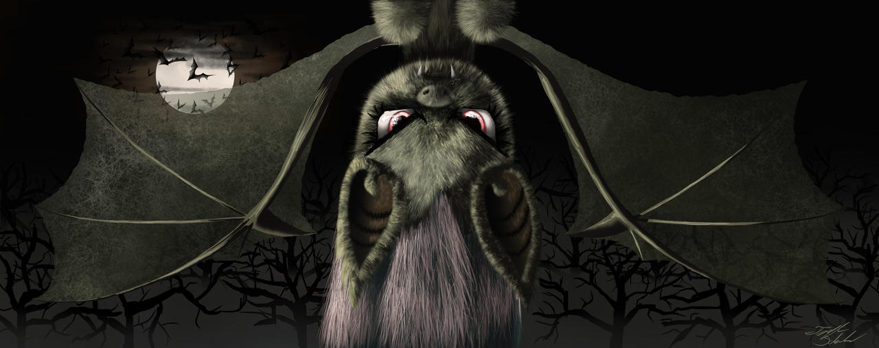 Flutterbat Returns Flutterbat by Tails1000 on DeviantArt