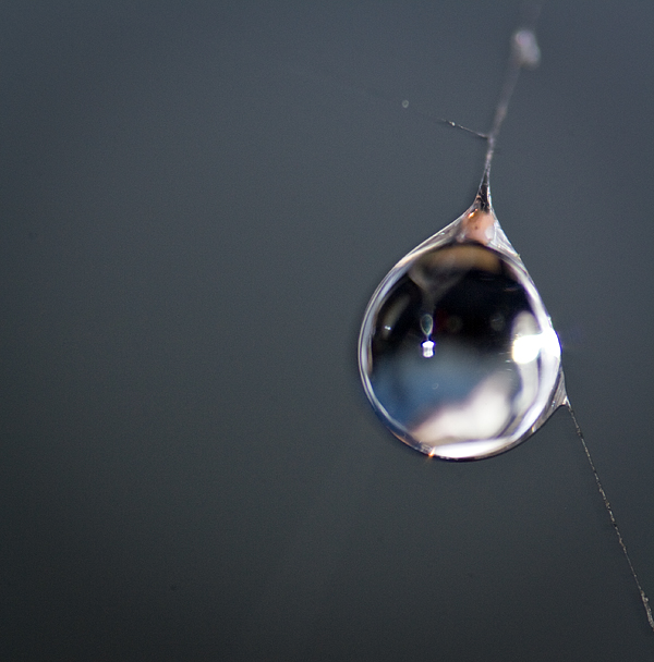 Droplet