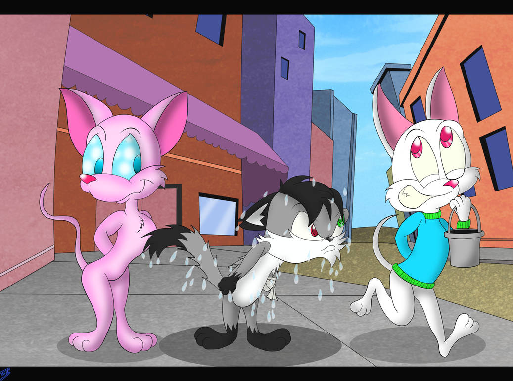 Icecat Deviantart ICEwater by 8OV on DeviantArt