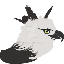 Harpy Eagle (Updated)