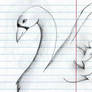 Swan :3